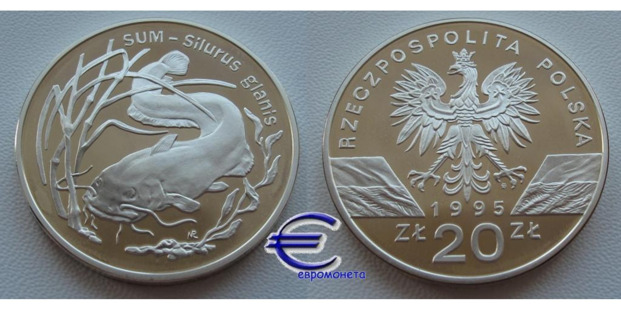 Польша 20 злотых 1995 год Сом пруф Proof серебро