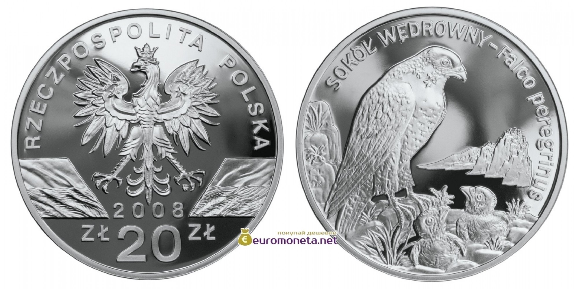 Польша 20 злотых 2008 год Животные мира: сапсан (лат. Falco Peregrinus) серебро пруф