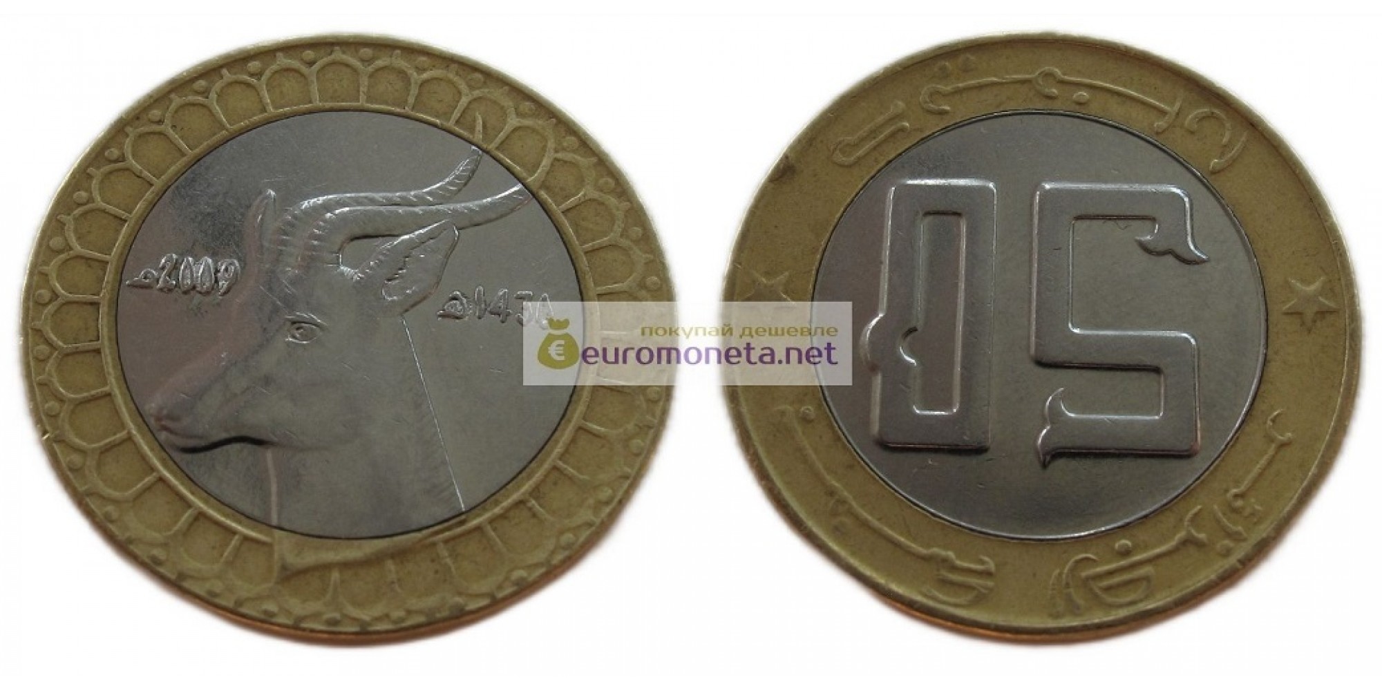Алжир 50 динаров 2009 год биметалл. Газель