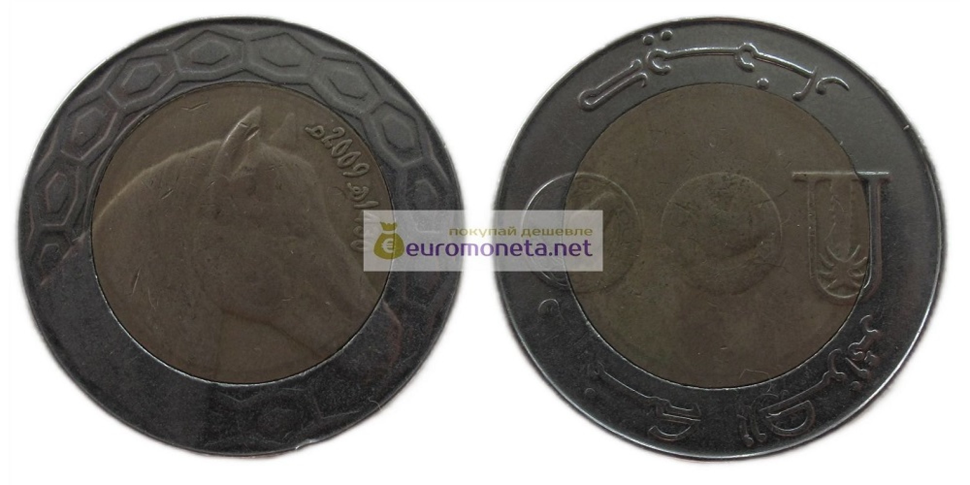 Алжир 100 динаров 2009 год биметалл. Лошадь