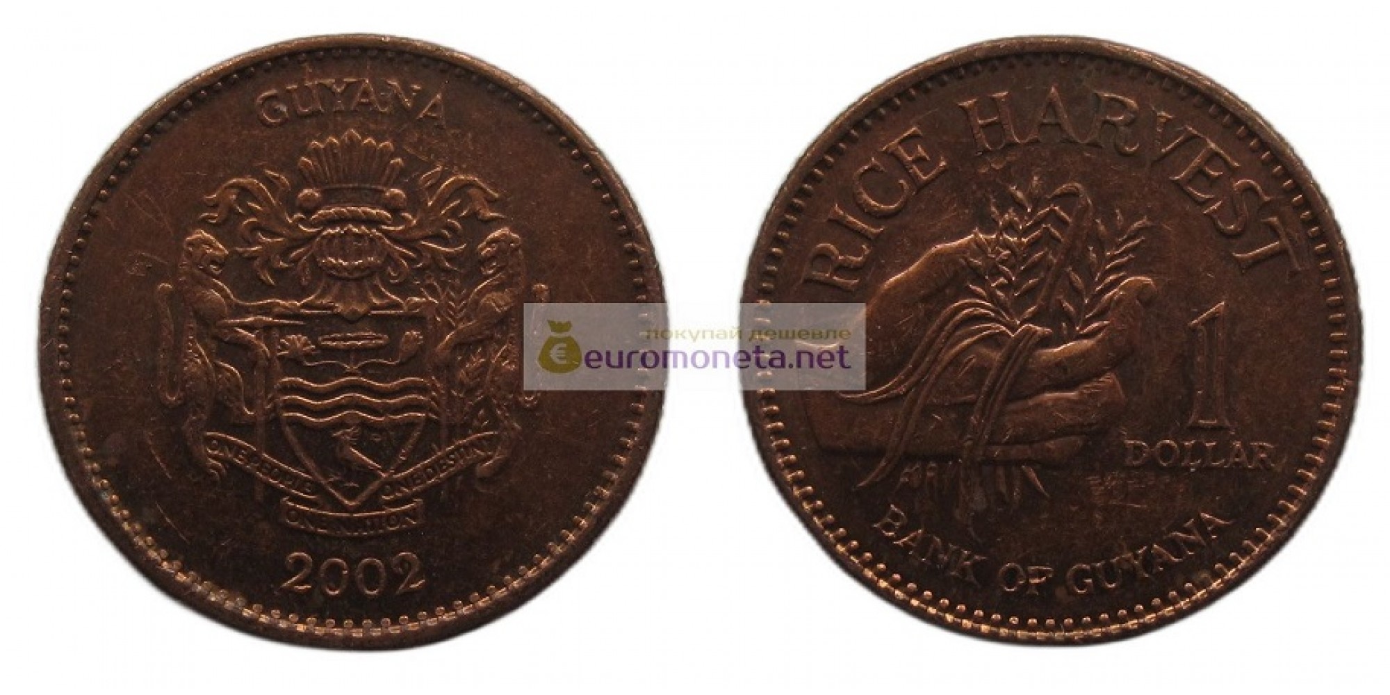 Кооперативная Республика Гайана 1 доллар 2002 год