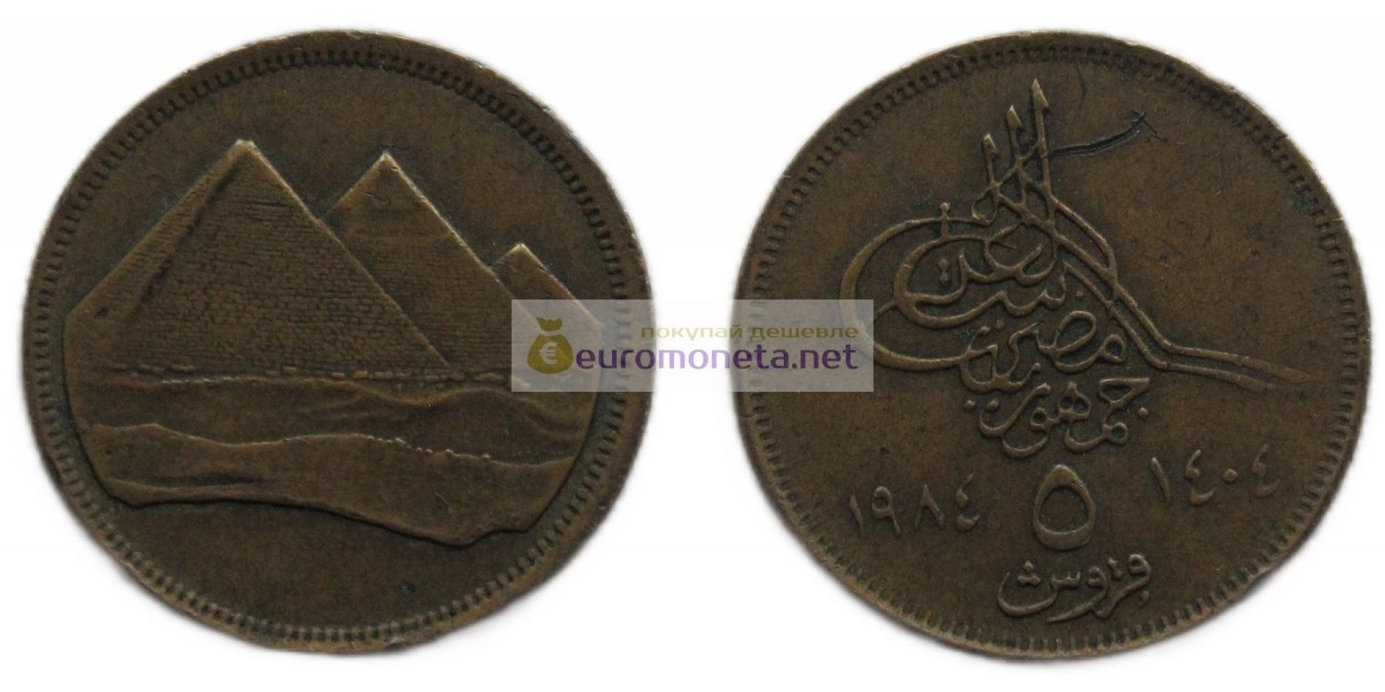 Арабская Республика Египет 5 пиастров 1984 год. Маленькая цифра номинала (٥) снизу монеты. Христианская дата (١٩٨٤) слева от номинала