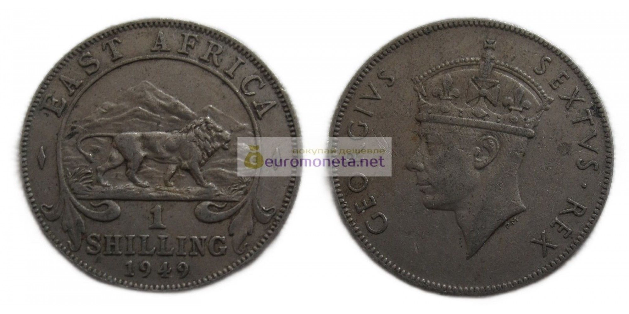 Британская Восточная Африка 1 шиллинг 1949 год. Король Георг VI