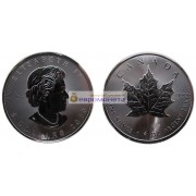 Канада 5 долларов 2019 год Кленовый лист (маленький лист под большим). Серебро. Унция
