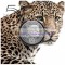 (ЮАР) Южно-Африканская Республика 5 рандов 2023 год Большая Пятёрка - Леопард. Серебро унция 999 пробы. Тираж 20 000 шт.