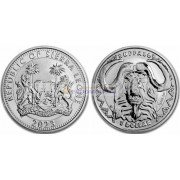 Сьерра-Леоне 1 доллар 2023 год Большая пятёрка: Буйвол. Серебро. Унция